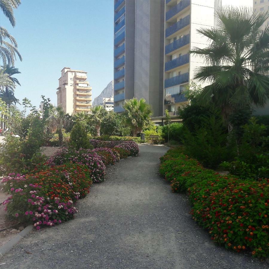Mirador