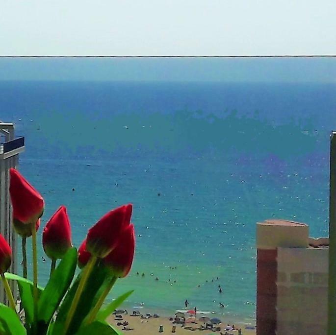 Mirador Calp