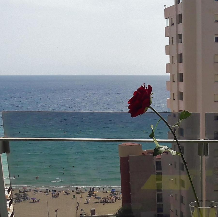 Mirador Apartamento *