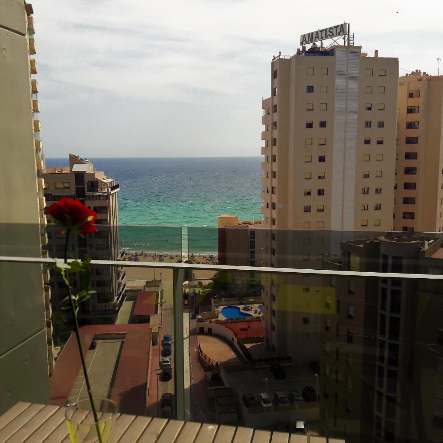 Mirador *